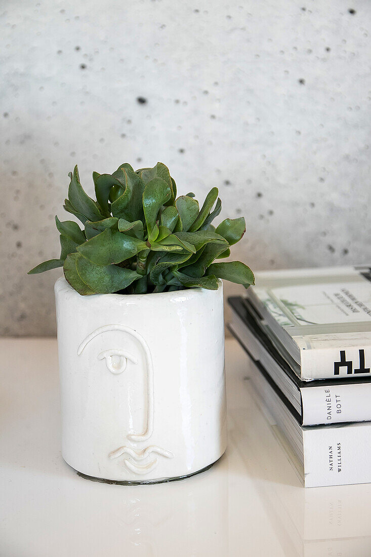 Homemade flower pot with abstract face made from modelling clay