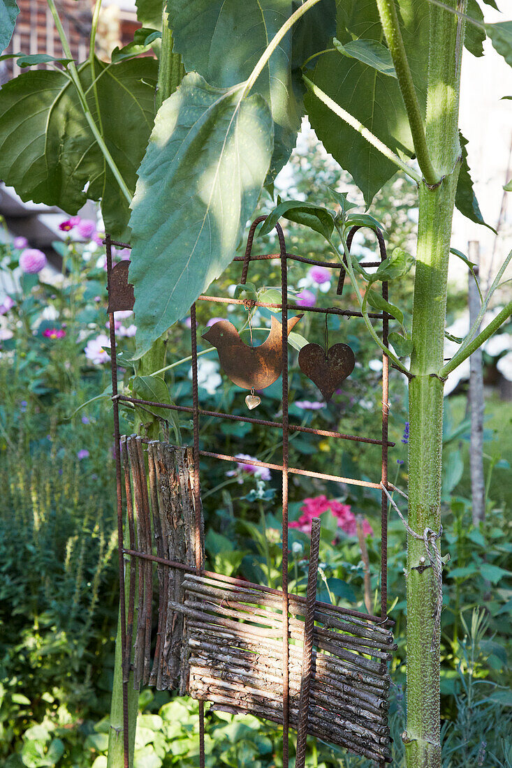 Rankgitter und Pflanzen im Garten