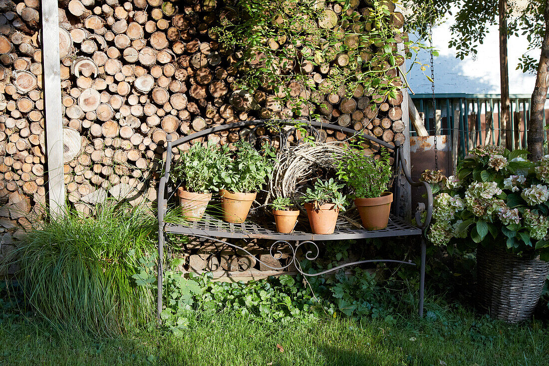 Metal bench with terracotta flower pots in front of pile of wood in the garden