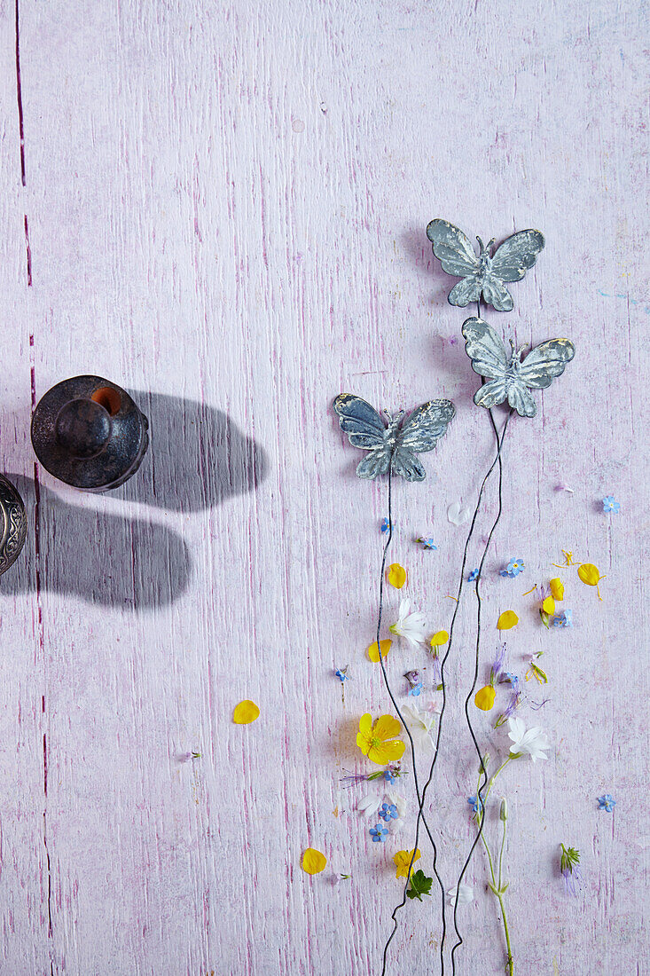 Moods: bottles of aromatic oils (malaise) and butterflies with flowers (lightness)