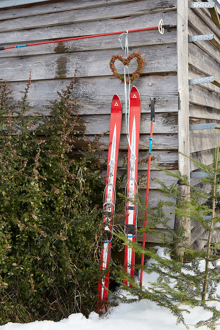 Skier und Stöcke an Holzhaus als winterliche Gartendekoration