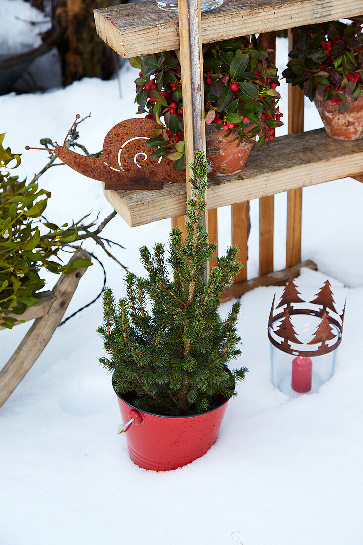 Winterliche Gartendekoration mit Pflanzen und Windlicht