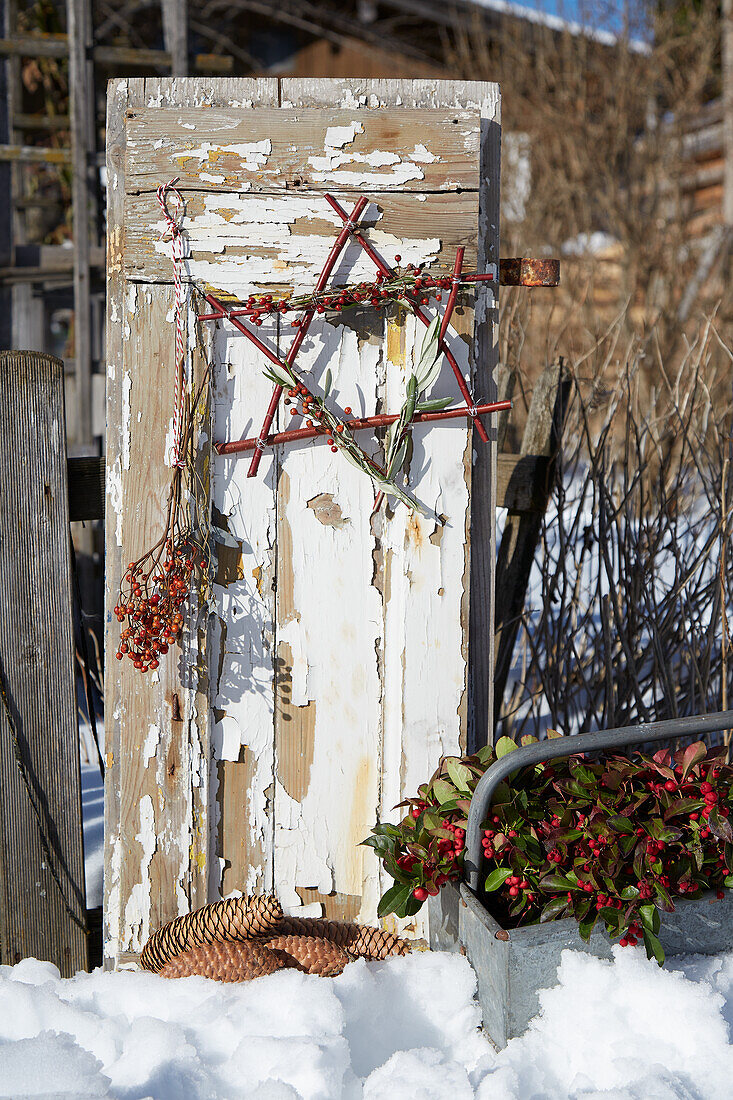 Verwitterter Fensterladen im Schnee dekoriert mit Beeren und Zweigen