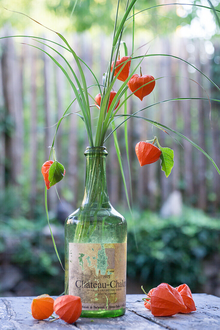 Alte Weinflasche mit Lampionblumen