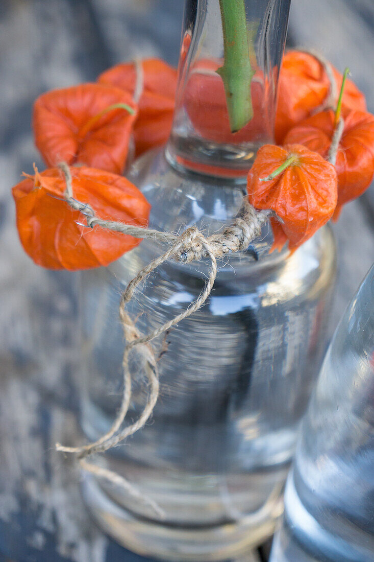 A wreath of Chinese lanterns tied around a bottle