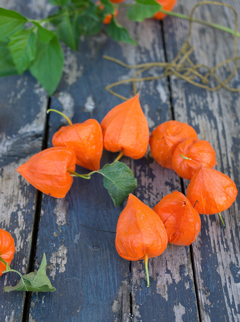 A wreath of Chinese lanterns