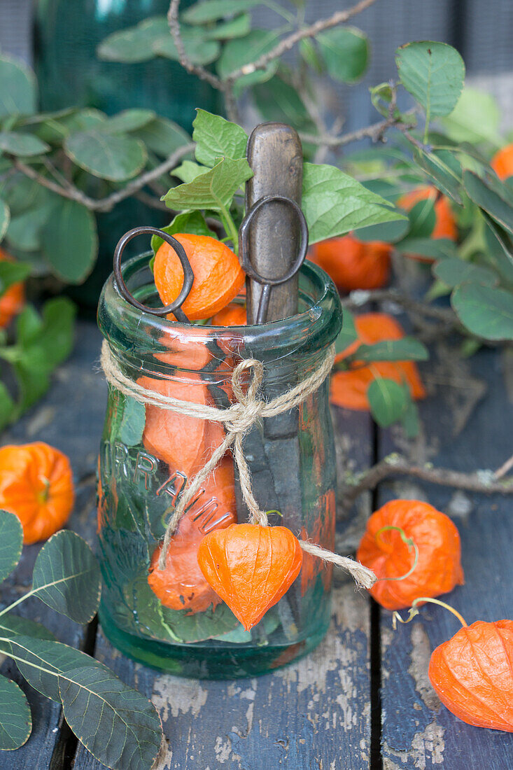 Einmachglas gefüllt mit Lampionblumen und Schere und Messer