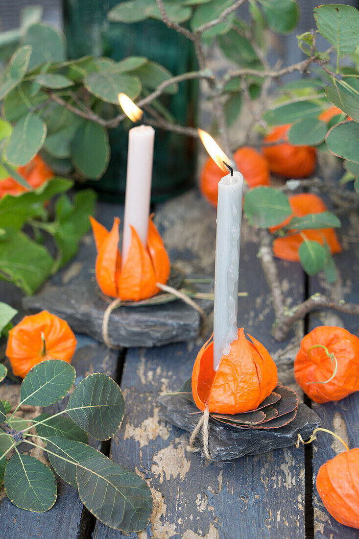 Candles in candle holder made of lampion flowers