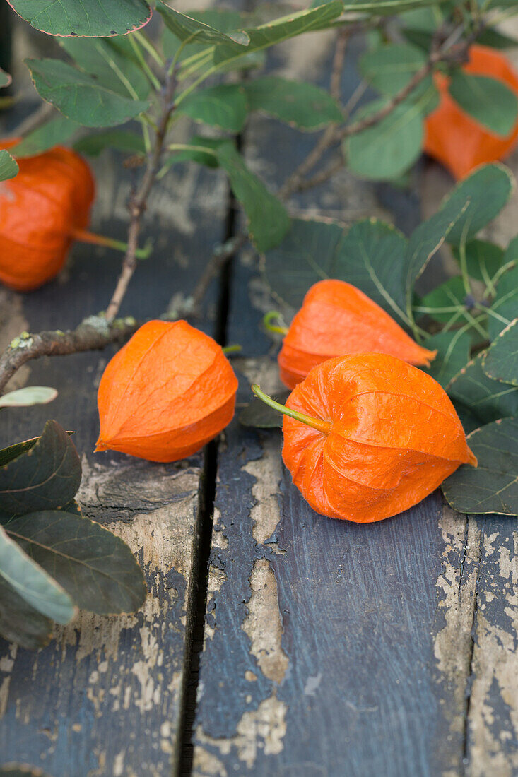 Chinese lanterns on a wooden table