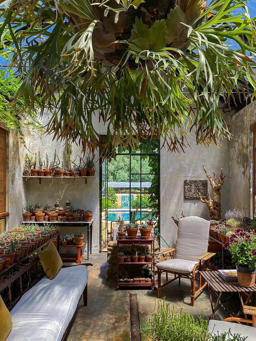 Wintergarten mit vielen Topfpflanzen in einem ländlichen Stadthaus, umgebaut als luxuriöses Gästehaus