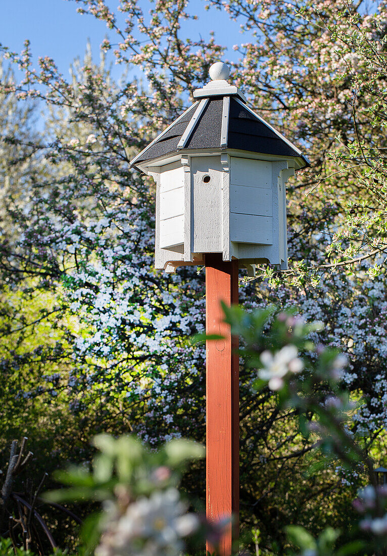 Vogelhäuschen auf einem Pfosten im Garten