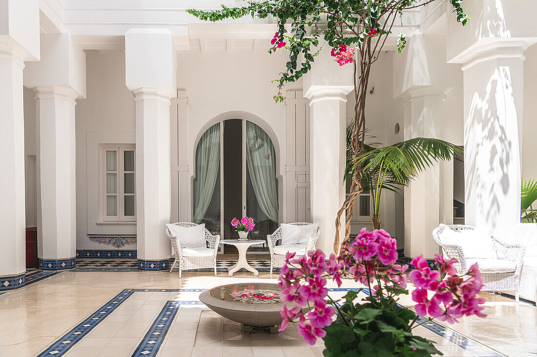 Brightly colored courtyard with plants and seating