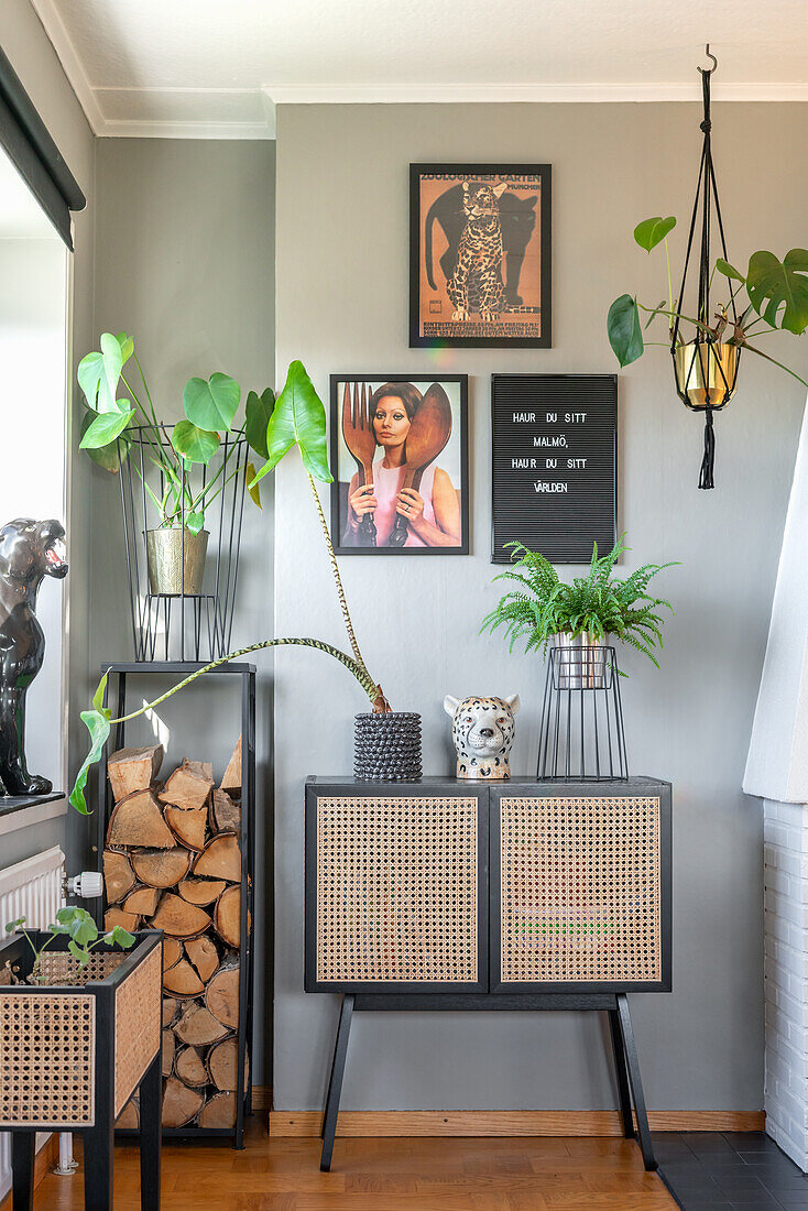 Indoor plants, black furniture with rattan and a firewood storage in the corner of room