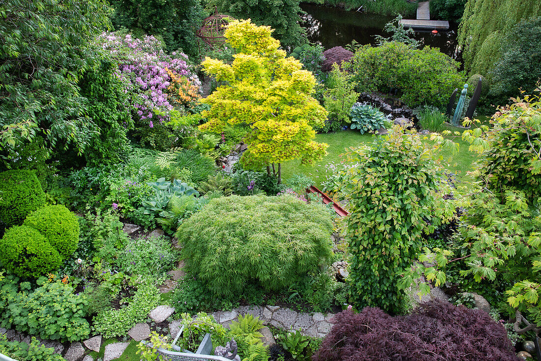 View of perennials in the summer garden