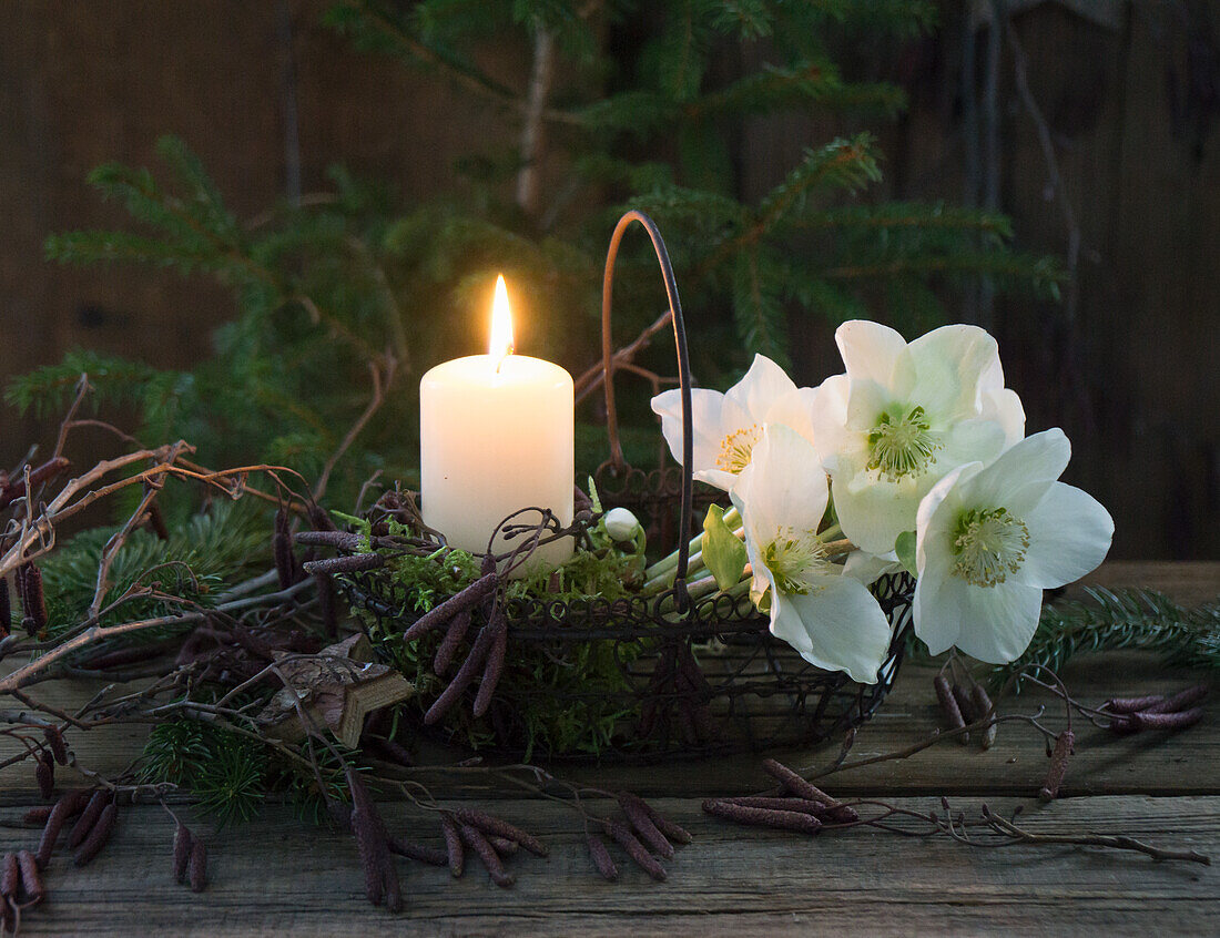 Candle in metal basket with Christmas roses