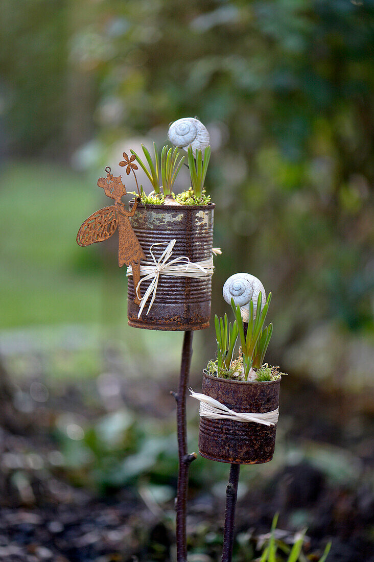 DIY garden plugs made from old tin cans with pearl hyacinths, moss and snail shells