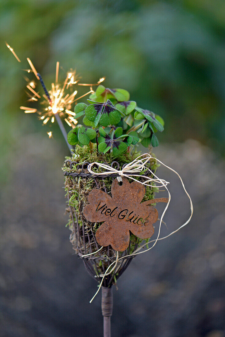 A garden plug with moss and lucky clover as a lucky charm