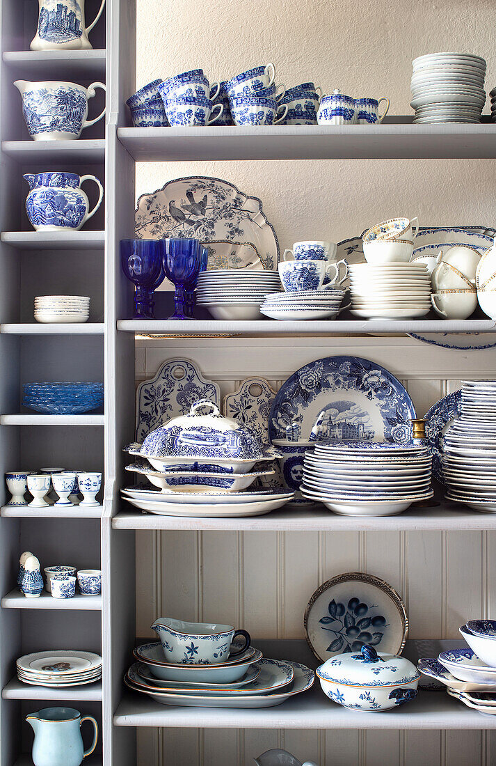 Blue and white crockery on shelves
