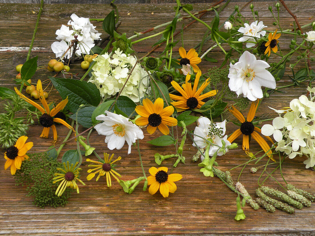Septemberblumen - Sonnenhut, Hortensie und Anemone
