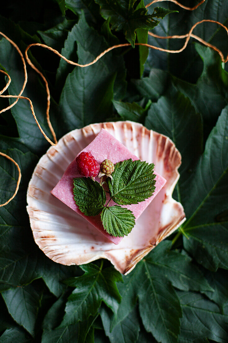 Natural raspberry soap on a scallop shell as a tray, surrounded by leaves
