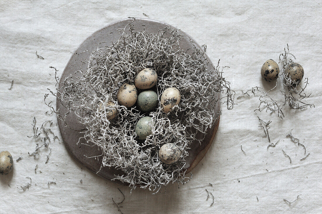 Nest aus Steppenroller (auch Tumbleweed) mit natürlich gefärbten Ostereiern auf Keramikplatte