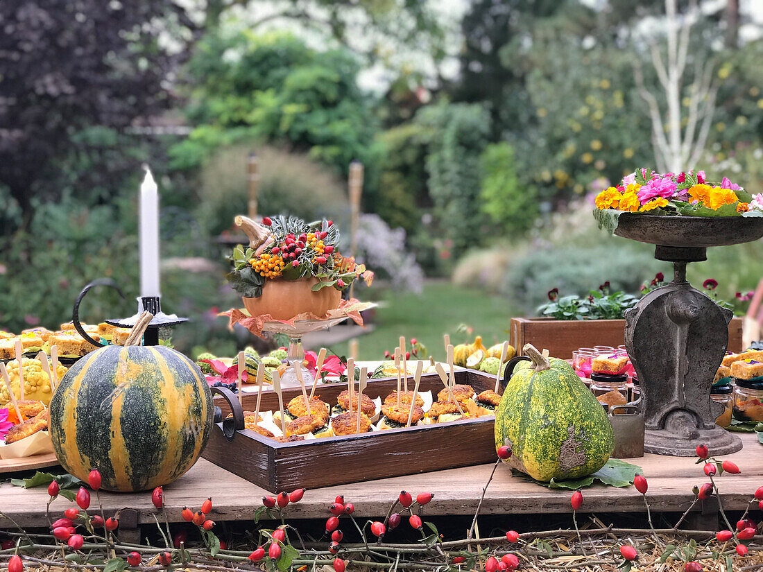 Set table with appetisers for a pumpkin party in the garden