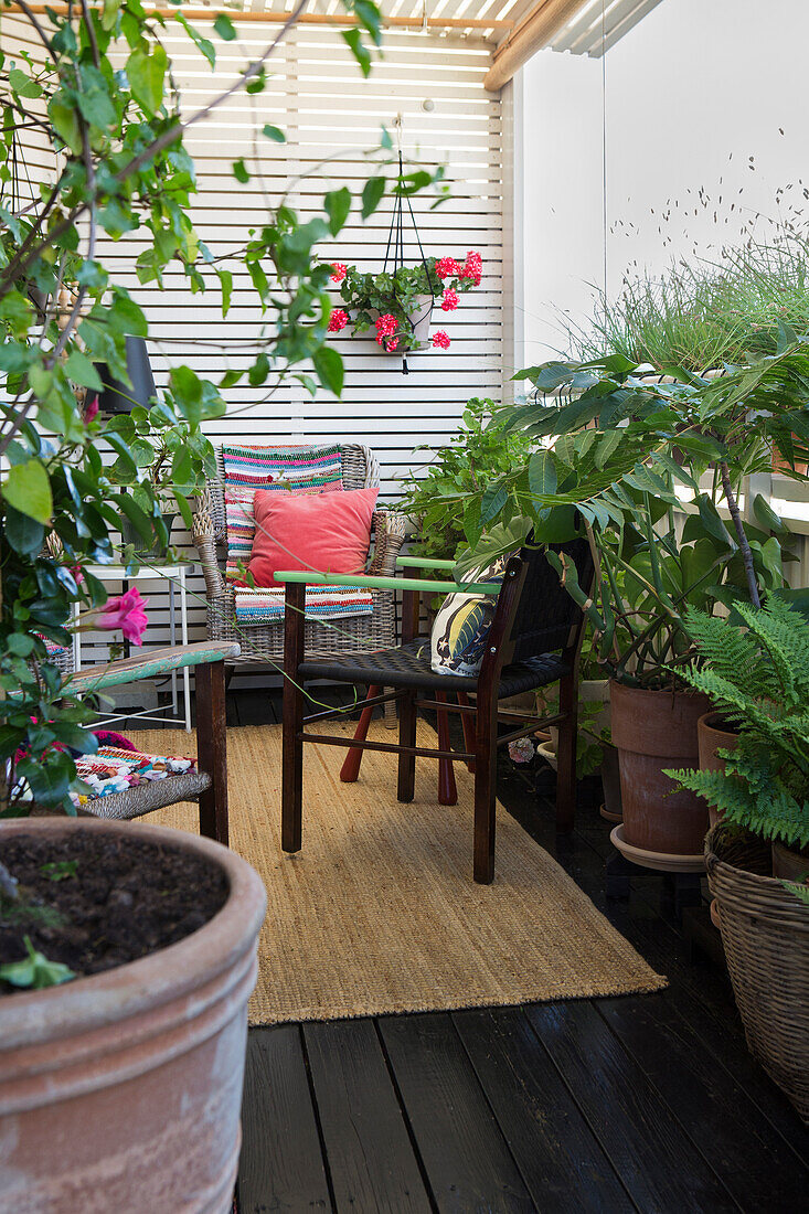 Wohnliche Terrasse mit Topfpflanzen und alten Stühlen