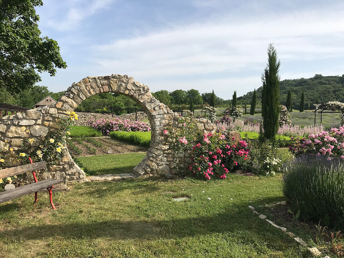 Naturstein-Gartenbogen umgeben von Rosen, im Hintergrund Lavendelfeld