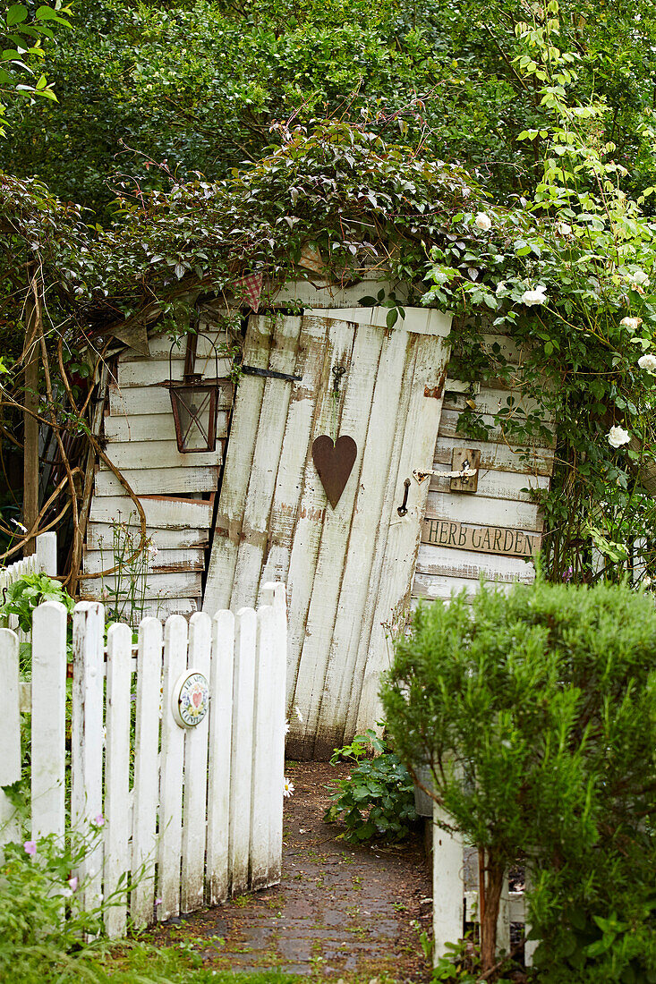 Overgrown shed with open gate in a garden