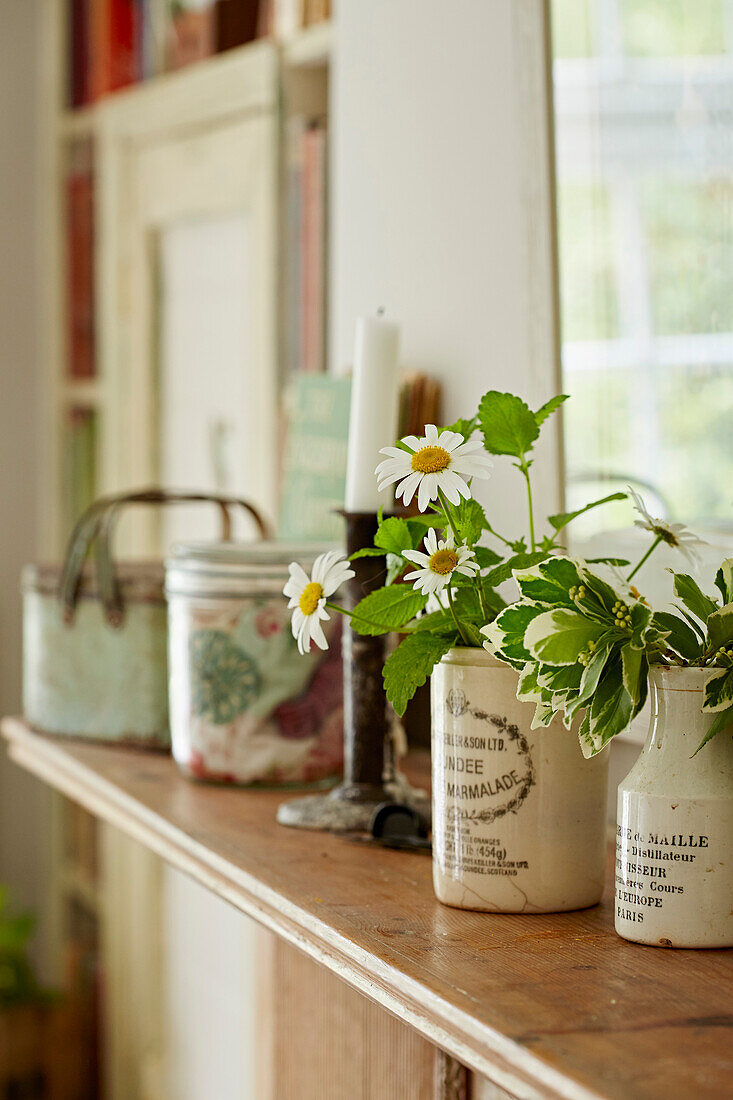 Cut daisies in ceramic pots on shelf