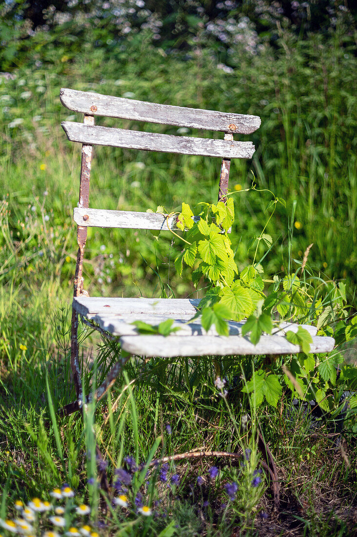 Vintage folding bistro chair in the grass