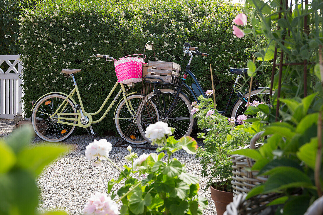 Geranien in Pflanzentöpfen, im Hintergrund Fahrräder
