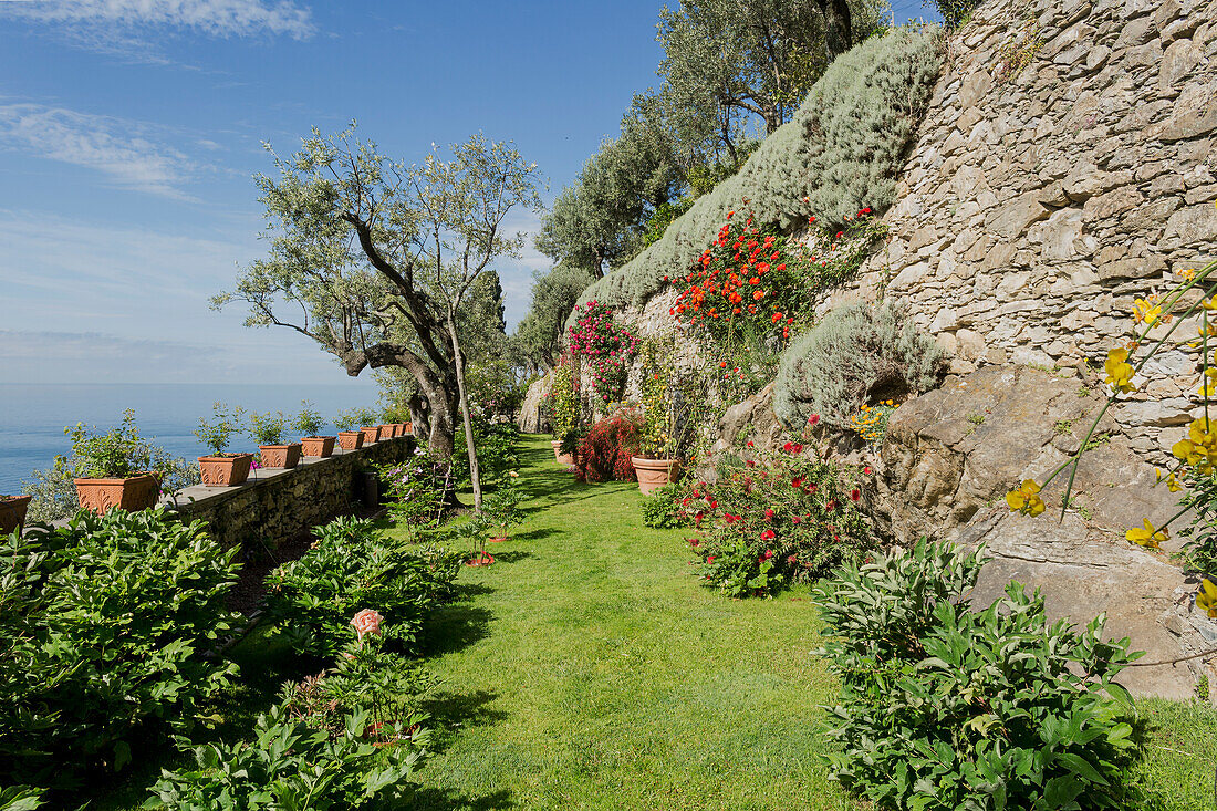 Mediterranean garden with natural stone wall and sea views