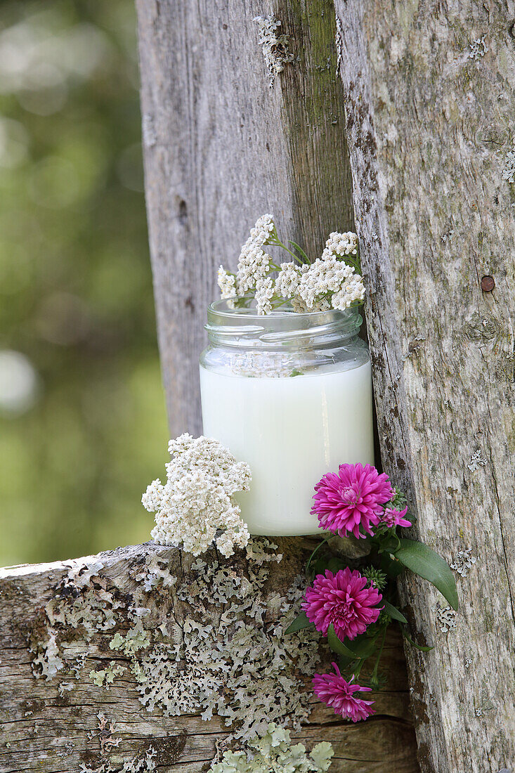 Homemade deodorant cream made from yarrow and coconut oil