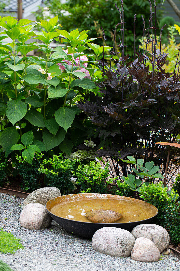 Wasserschale umgeben von Steinen, dahinter Hortensie (Hydrangea) im Garten