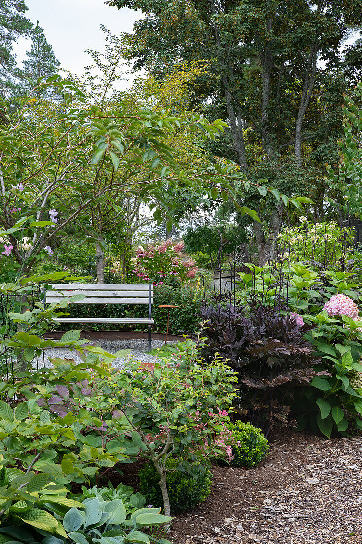 Seating area with bench, perennials, and shrubs in foreground