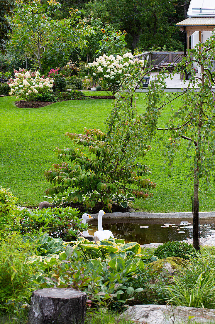 View of flower beds by the garden pond and garden