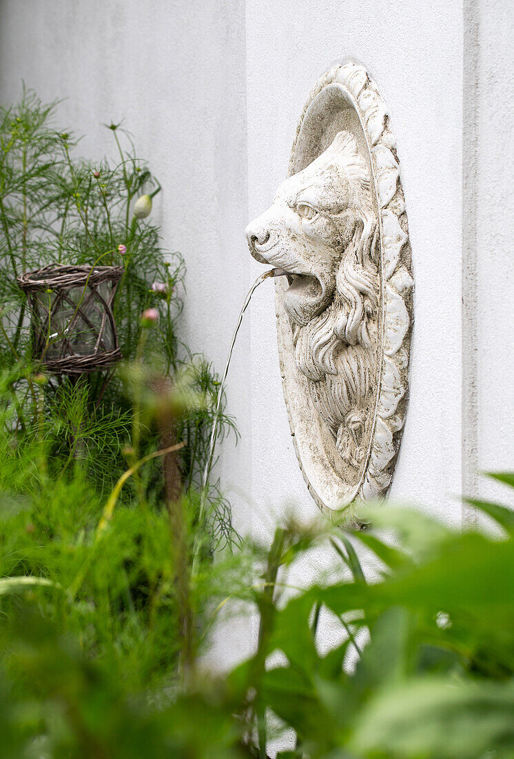 Water spout with lion's head in the garden