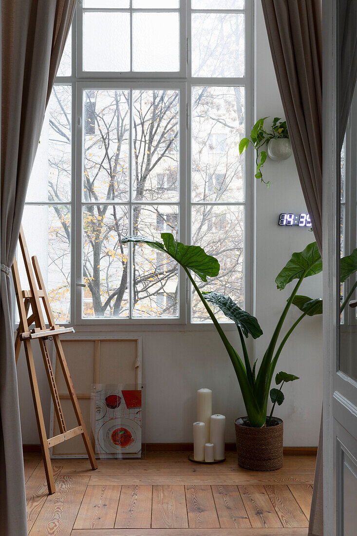 Große Zimmerpflanze und Staffelei vor dem Fenster