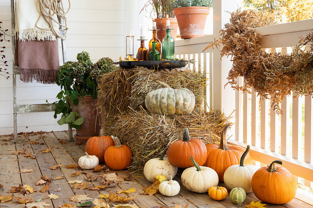 Straw bales and pumpkins on autumnal veranda