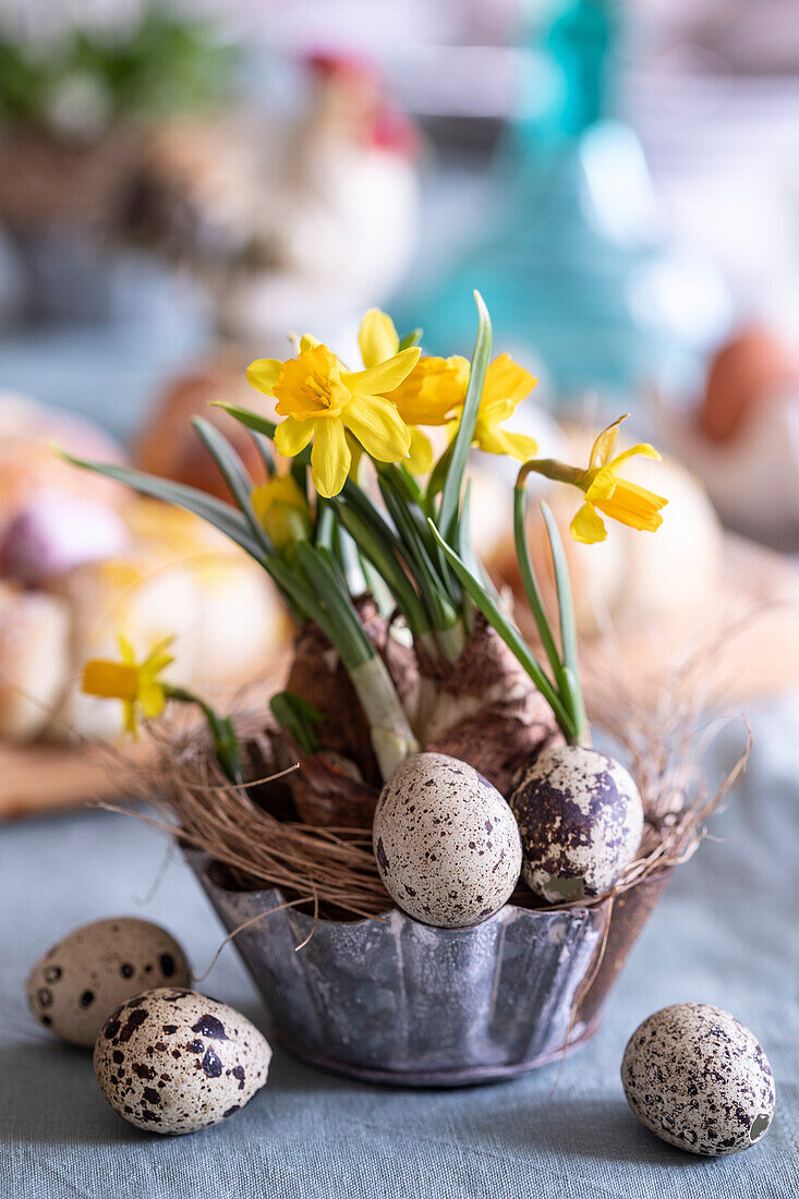 Easter decoration with daffodils and quail eggs
