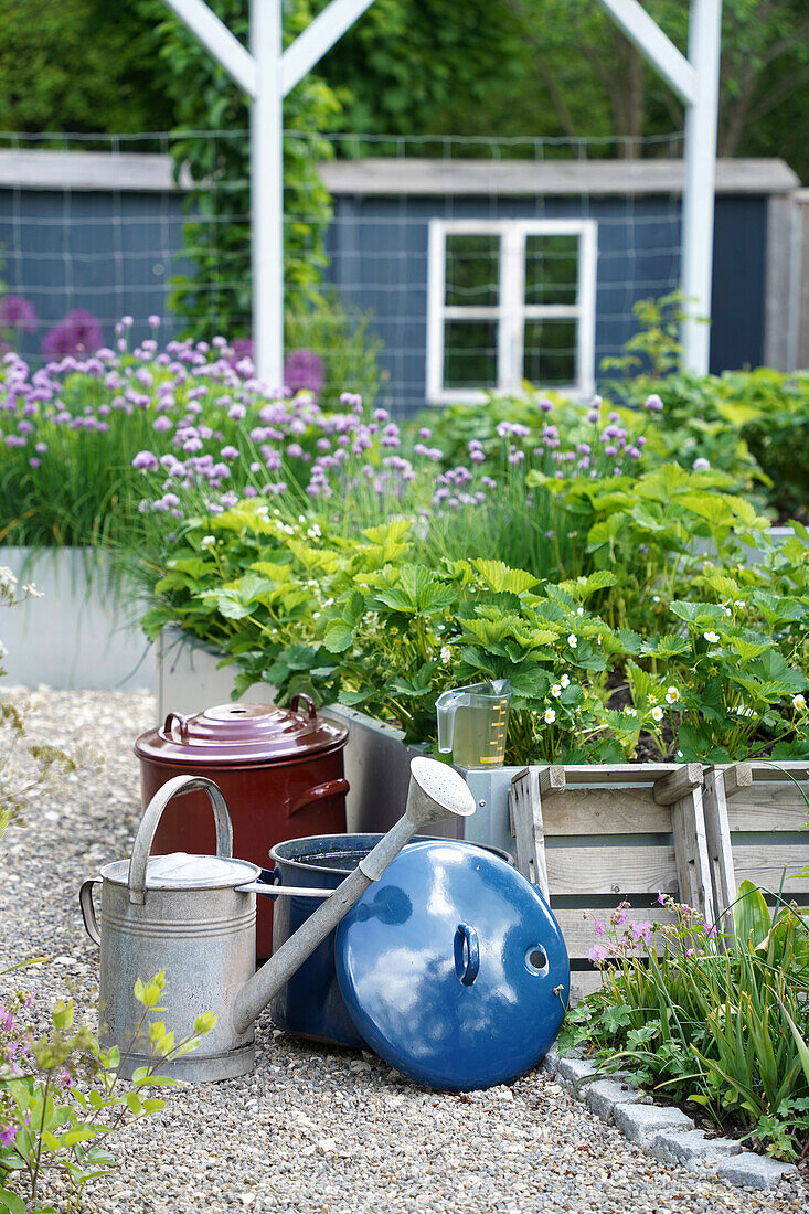 Kitchen garden with comfrey, watering can and old enamel preserving pots in the foreground