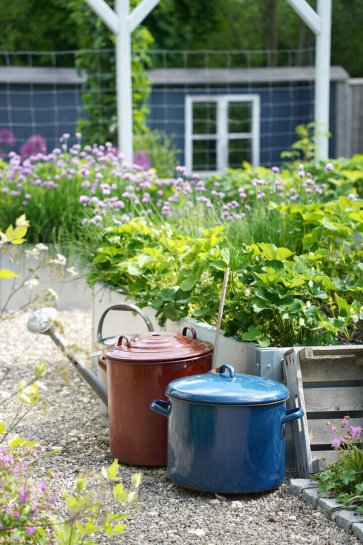 Garden with vegetable beds and colorful pot and watering can on gravel path