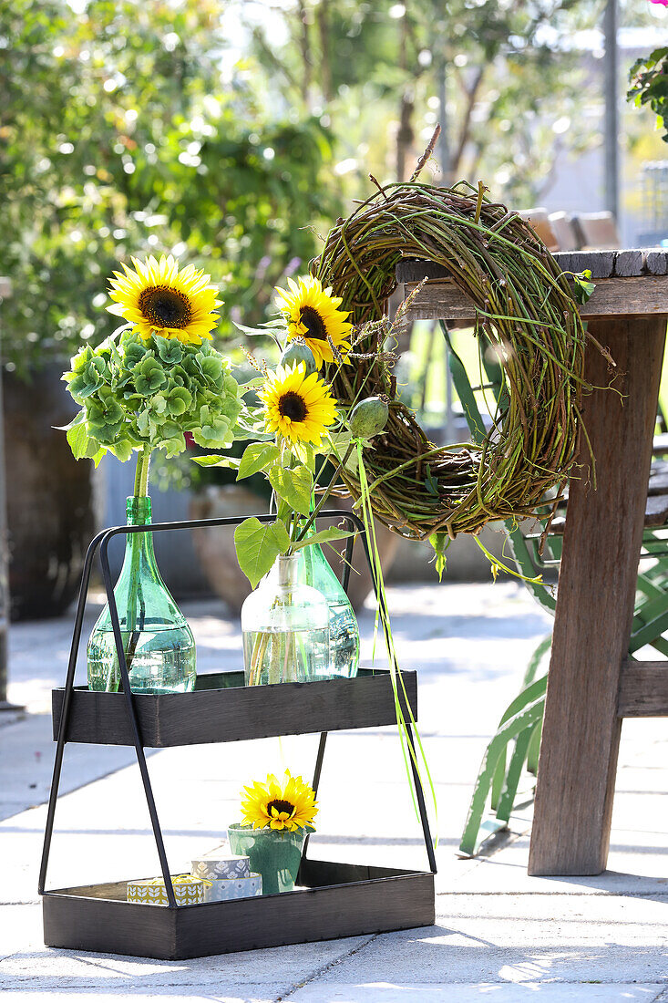 Sunflowers with green hydrangeas in balloon bottles and wreath of vines