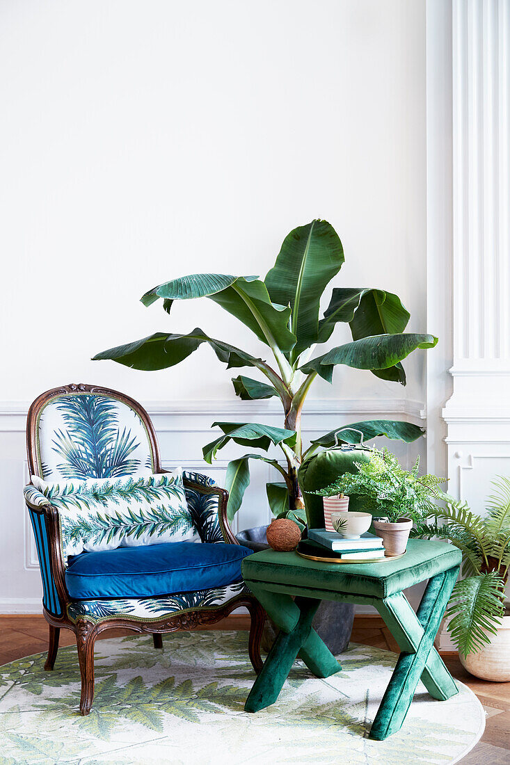 Houseplants in cosy seating area