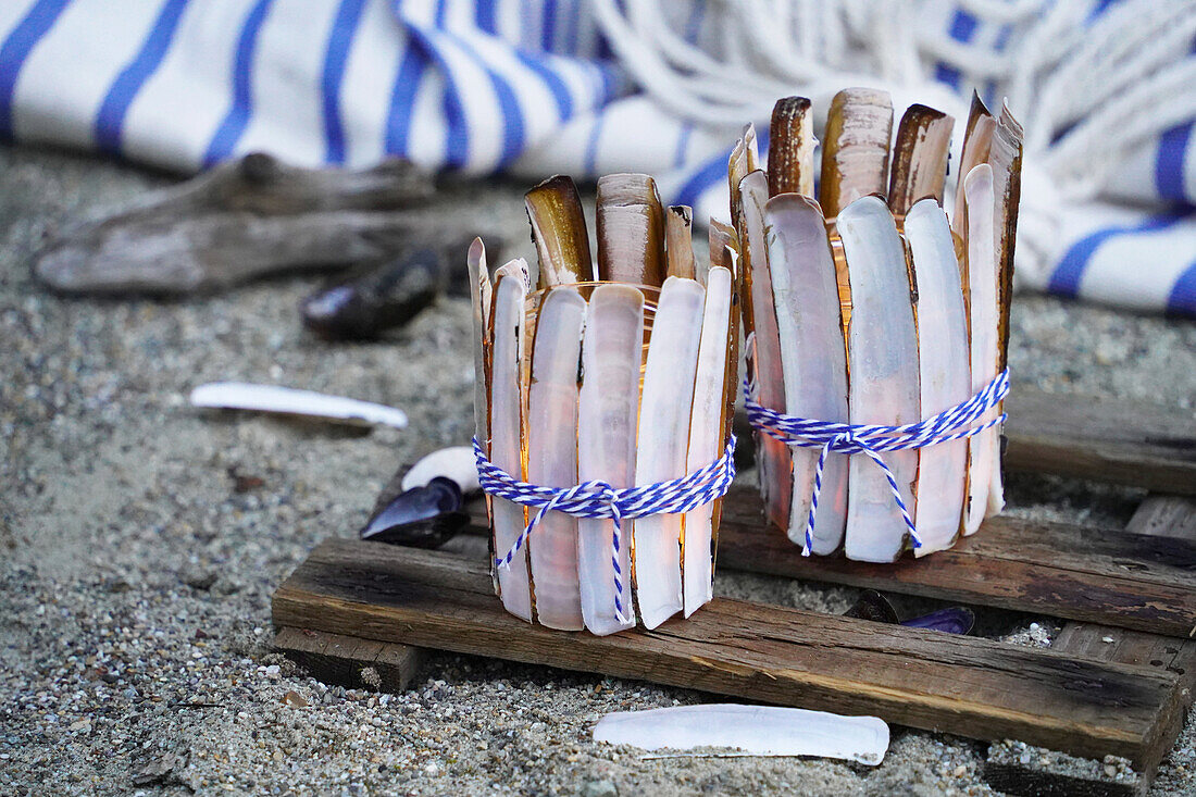 DIY lanterns made from razor shells