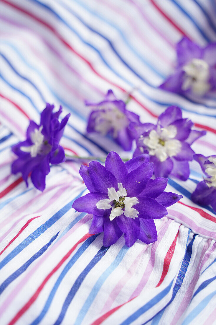 Purple delphinium on striped fabric