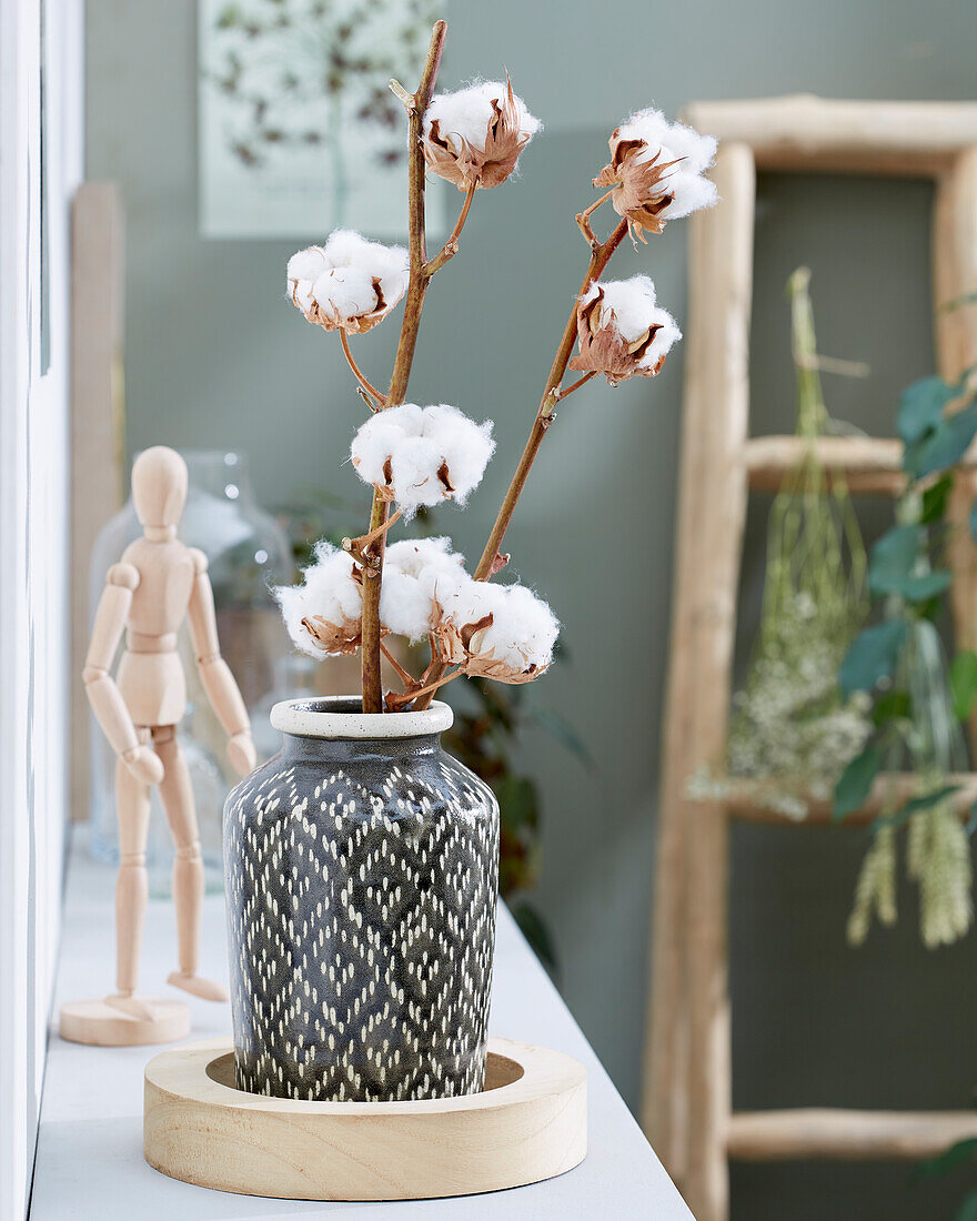 Cotton pods in vase