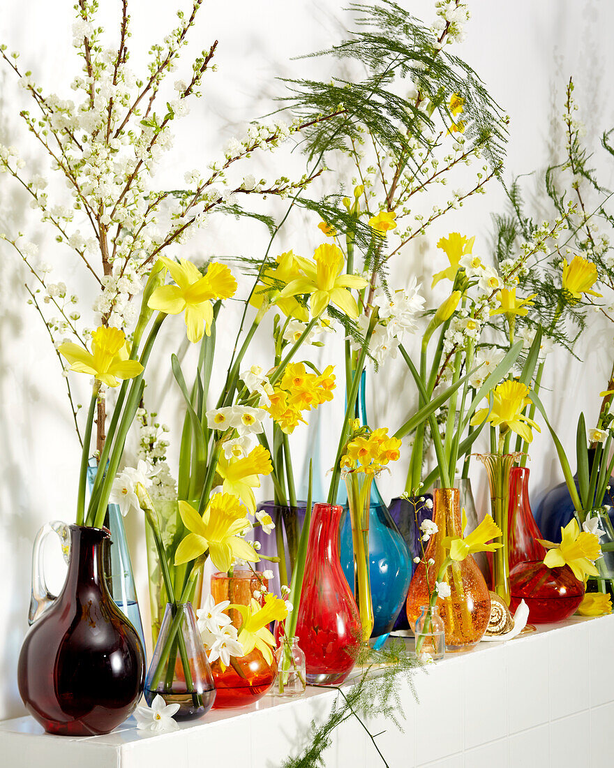Frühlingsblumen in Vasen