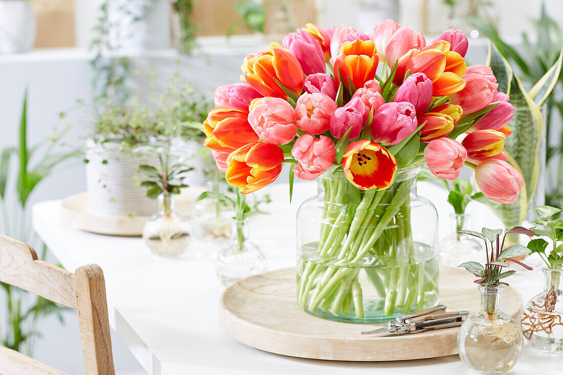 Bunte Tulpenmischung in Vase